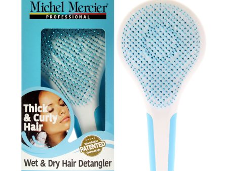 Wet and Dry Hair Detangler Thick and Curly Hair - Blue-White by Michel Mercier for Women - 1 Pc Hair Brush For Sale