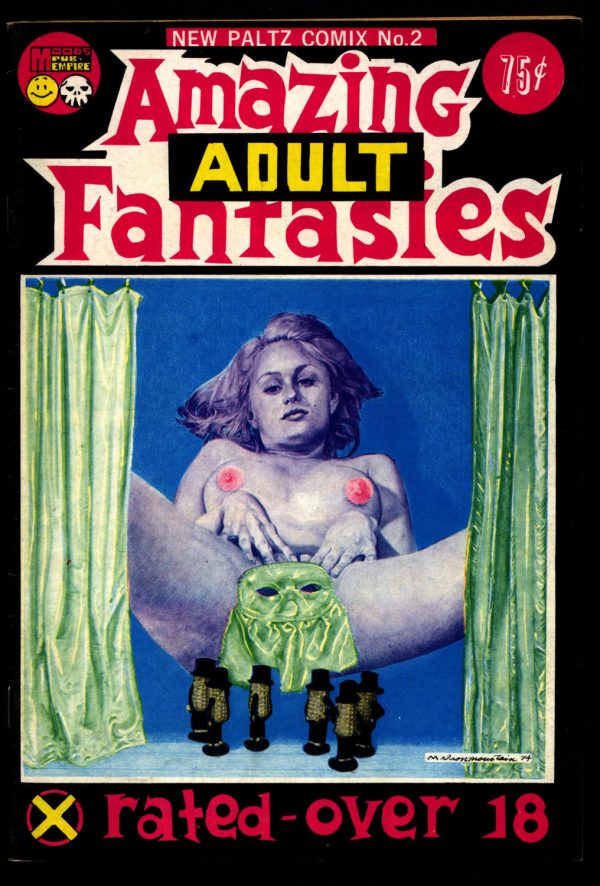 AMAZING ADULT FANTASIES New Paltz Comix #2 Michael Gilbert Will Eisner Spirit Parody Vezina Buniak Erling Sex Drugs Humor Underground* Online Sale