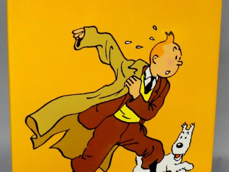 TINTIN and The World of HERGE Hergé Hardcover Illustrated History by Benoit Peeters Sale