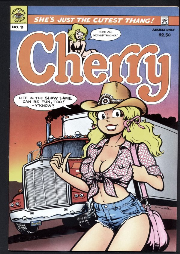 CHERRY POPTART 9, 1st,Last Gasp,1990,Larry Welz,,Sexy Humor Underground Comic,Humor, Funny Book,Hippie UG comix Fashion