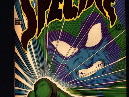 THE SPECTRE #8, The Ghostly Guardian,Steve Skeates, Jerry Grandenetti, Murphy Anderson,  DC Comics, Supernatural, Occult, Mystic Super-Hero Online Sale