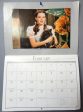 Wizard of OZ 1995 Calendar L FRANK BAUM Classic Children s Illustrated Fantasy M G M Movie Judy Garland Jack Hailey Bert Lahr Ray Bolger on Sale