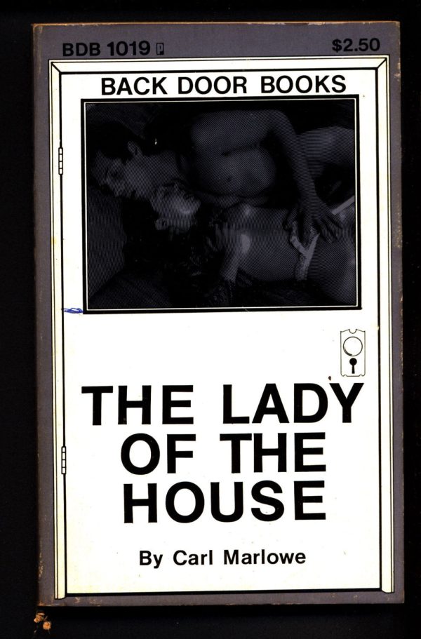 The Lady Of The House BDB-1019, ADULT,Mature,Vintage,Explicit,Erotic,Fiction,Sleaze, Paperback book Online now