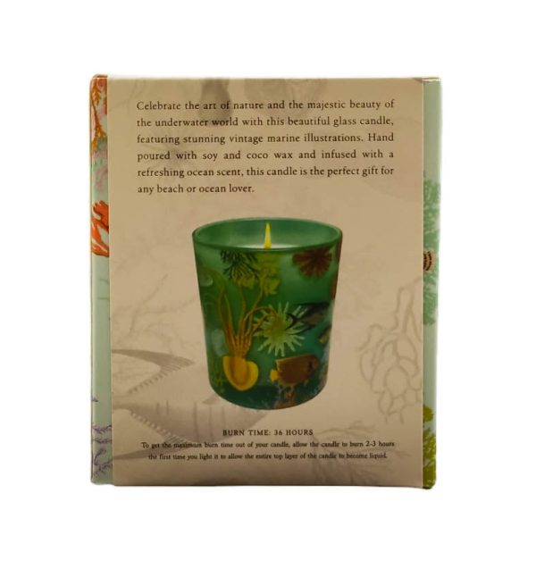 Art of Nature: Under the Sea Scented Glass Candle on Sale