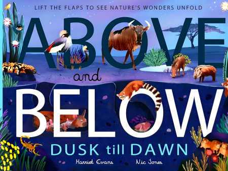 Above And Below Dusk Till Dawn Online Sale