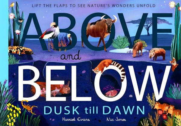 Above And Below Dusk Till Dawn Online Sale