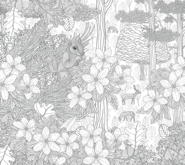 What s In The Woods: Your Nature Colouring Book Sale