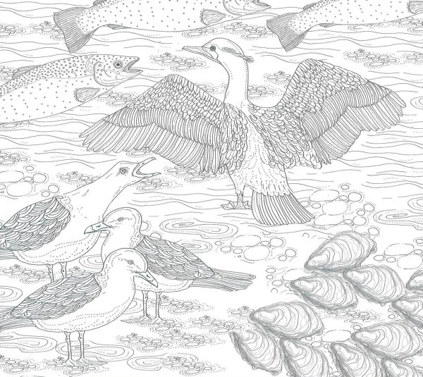 What s In The Water : Your Own Nature Colouring Book Discount