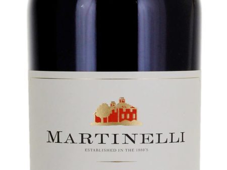 Zinfandel  Vigneto di Evo , Martinelli 2021 Discount